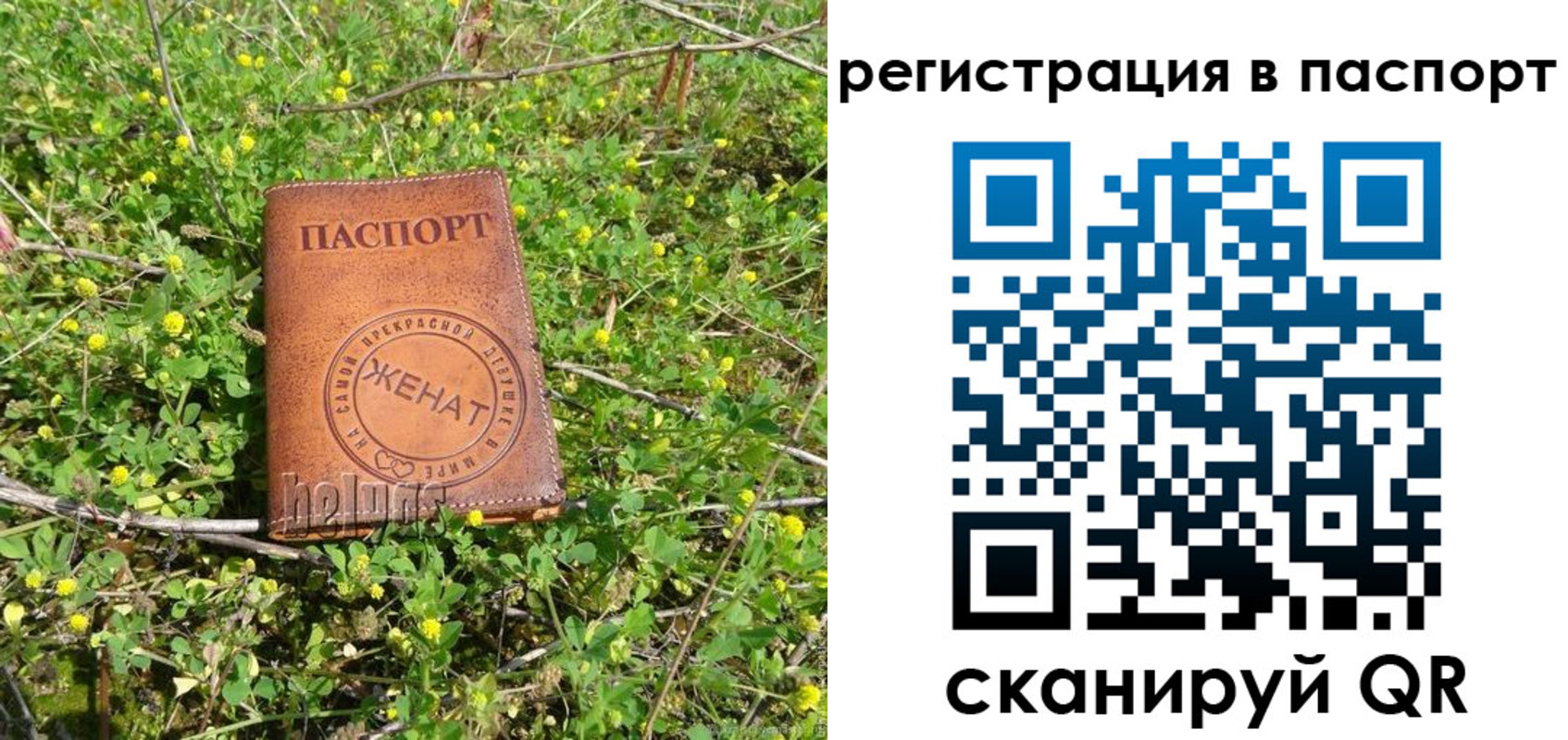 прописка законно в Котово